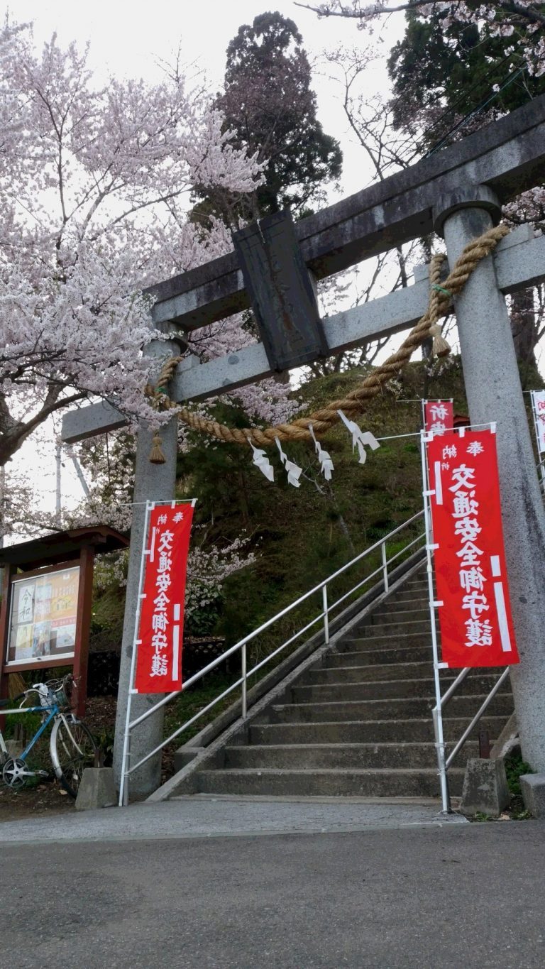 今日のワン太 花巻神社の桜が満開 えふえむ花巻株式会社 ｆｍｏｎｅ ７８７